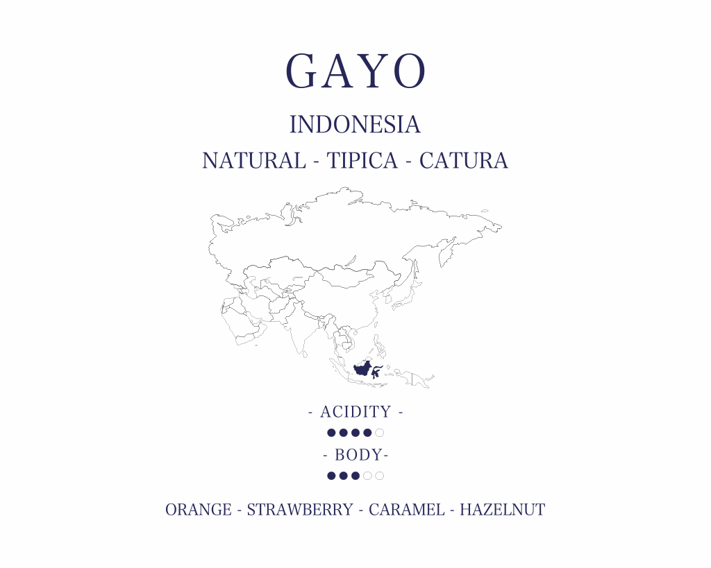 Gayo 250g